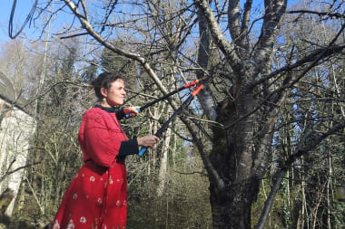 De wilde natuur versus de beschaafde mens 