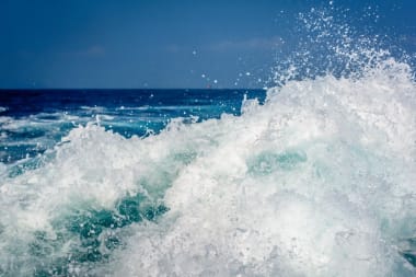 ‘De gezondheid van de oceaan hangt af van onze verstandige keuzes’