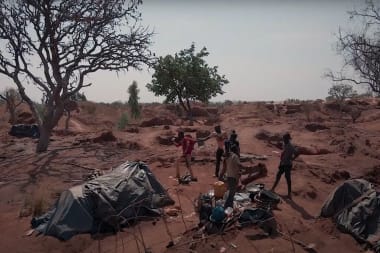 Het goud van Haïti: een tweesnijdend zwaard voor de boeren