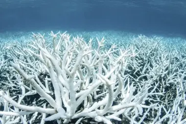 Aarde bereikt eerste klimaatomslagpunt