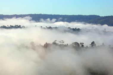 Inheemse leiders waarschuwen: ‘kantelpunt’ Amazone nadert (maar kan worden voorkomen)