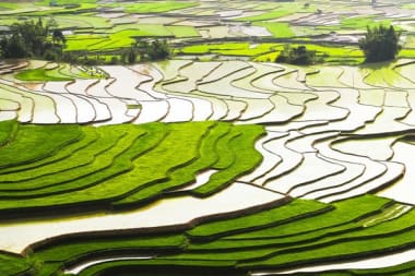 Toenemende irrigatie in de landbouw breekt ons zuur op