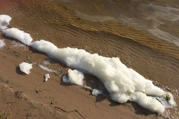 Opge-pfas-t, pootjebadende peuters voor het gore en giftige zeeschuim!