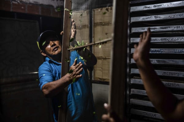 Narcostaat Bolivia: hoe de linkse MAS-partij de wereld een rad voor de ogen draaide