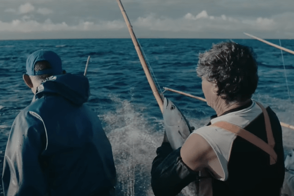 Druk op Azoren om diepzeemijnbouw toe te staan stijgt