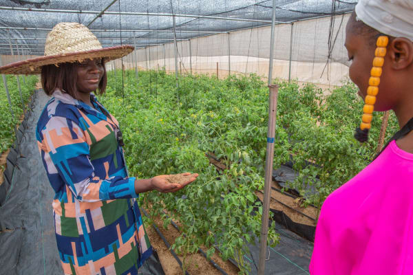 In Nigeria is iedereen ondernemer