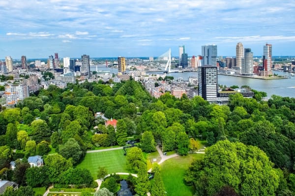 Steden warmen twee keer sneller op: zo kunnen we ze leefbaar houden