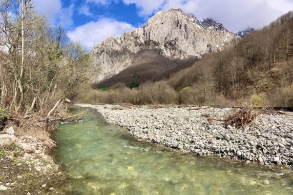 De rivier de Sutjeska, een zijrivier van de Drina, stroomt door Nationaal Park Sutjeska. Ook in dit Nationaal Park, dat beschermde natuur en bedreigde vissoorten herbergt, worden waterkrachtcentrales gebouwd.