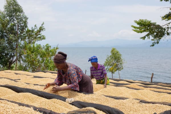Op dit eiland is koffie meer dan een bakje troost