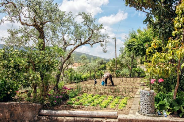 Terwijl Europa zijn grenzen sluit, opent Portugal zijn armen