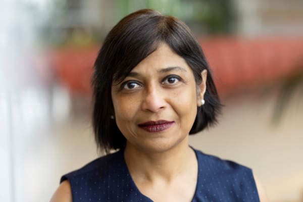 Joyeeta Gupta: ‘Goed klimaatbeleid is een aanval op het kapitalisme’