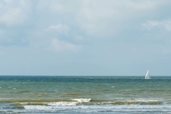 Drie keer meer uitheemse soorten in de Noordzee