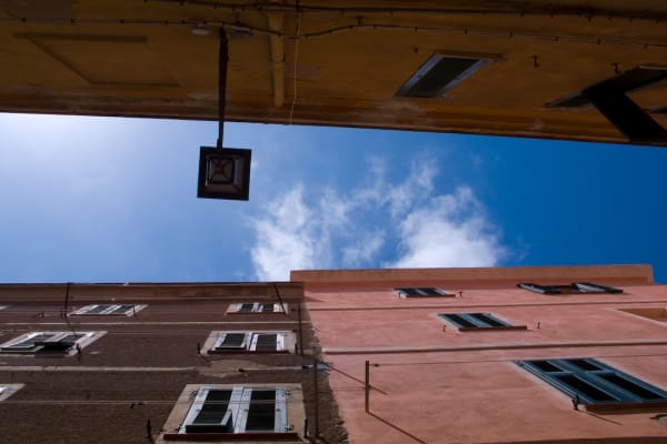 Verkoeling in de stad: de juiste boom op de juiste plaats is essentieel