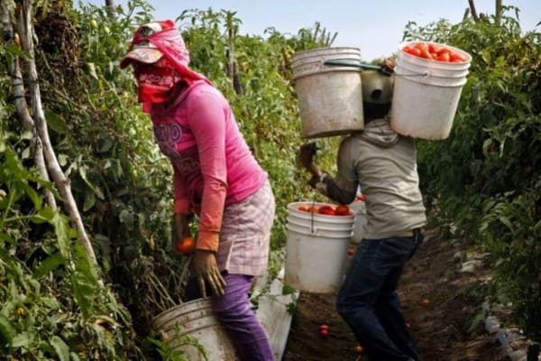 Miljoenen informele arbeiders vallen door de mazen van het sociale vangnet, waarschuwt IAO