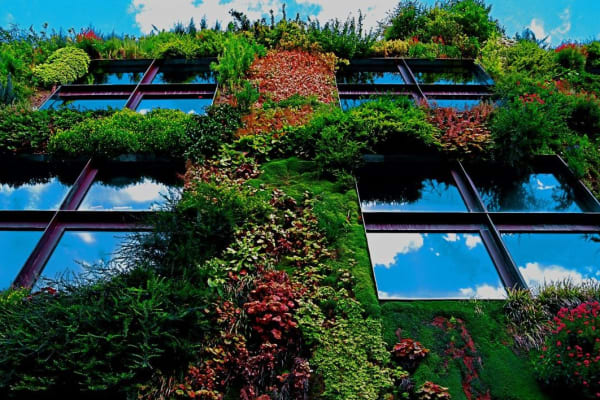 Groengevels maken gebouwen ruim halve graad koeler