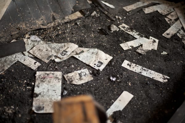 ‘Artificiële intelligentie is gedoemd om vooroordelen over migratie te bestendigen’