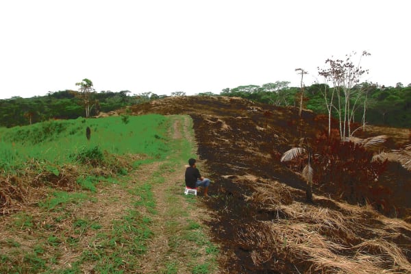 ‘Ongereguleerde financiering jaagt ontbossing aan’