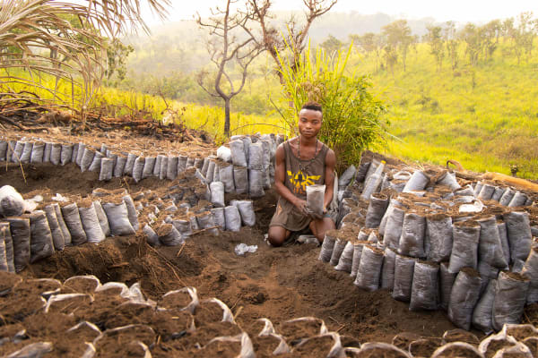 Hoe een Belgische herbebosser in Congo als grote werkgever op handen wordt gedragen