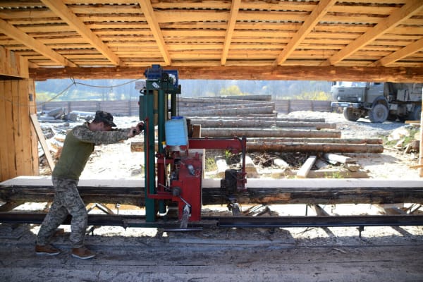 ‘Illegaal hout verdwijnt niet vanzelf uit de Oekraïense bossen’