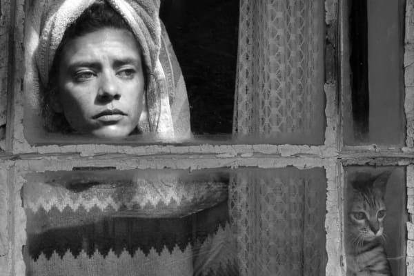 De Indiase film heeft zijn hart gevonden