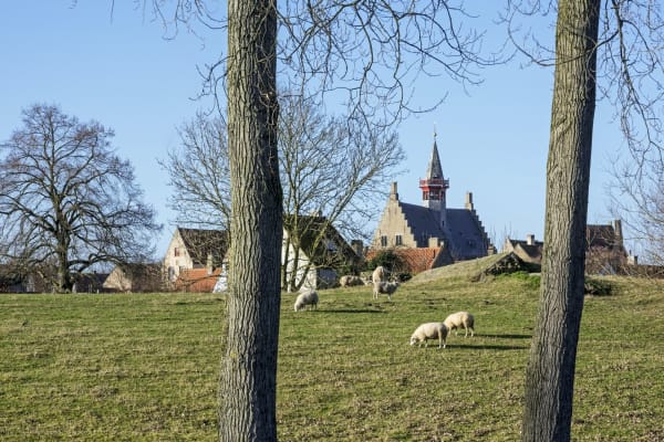 We hebben onszelf drooggelegd