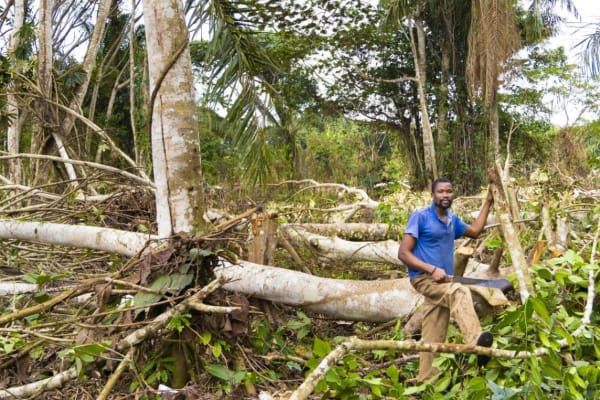 ‘Laat het regenwoud niet opdraaien voor onze defensie’