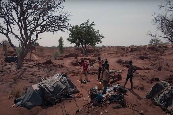 Het goud van Haïti: een tweesnijdend zwaard voor de boeren