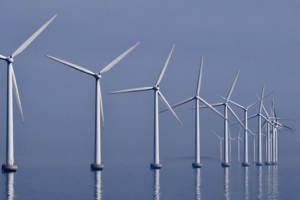 ‘Wat als windturbines in de Noordzee ook de biodiversiteit zouden redden?’