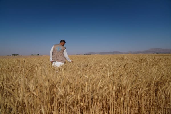 ‘Door blijvende internationale samenwerking kunnen we honger in de wereld definitief uitroeien’