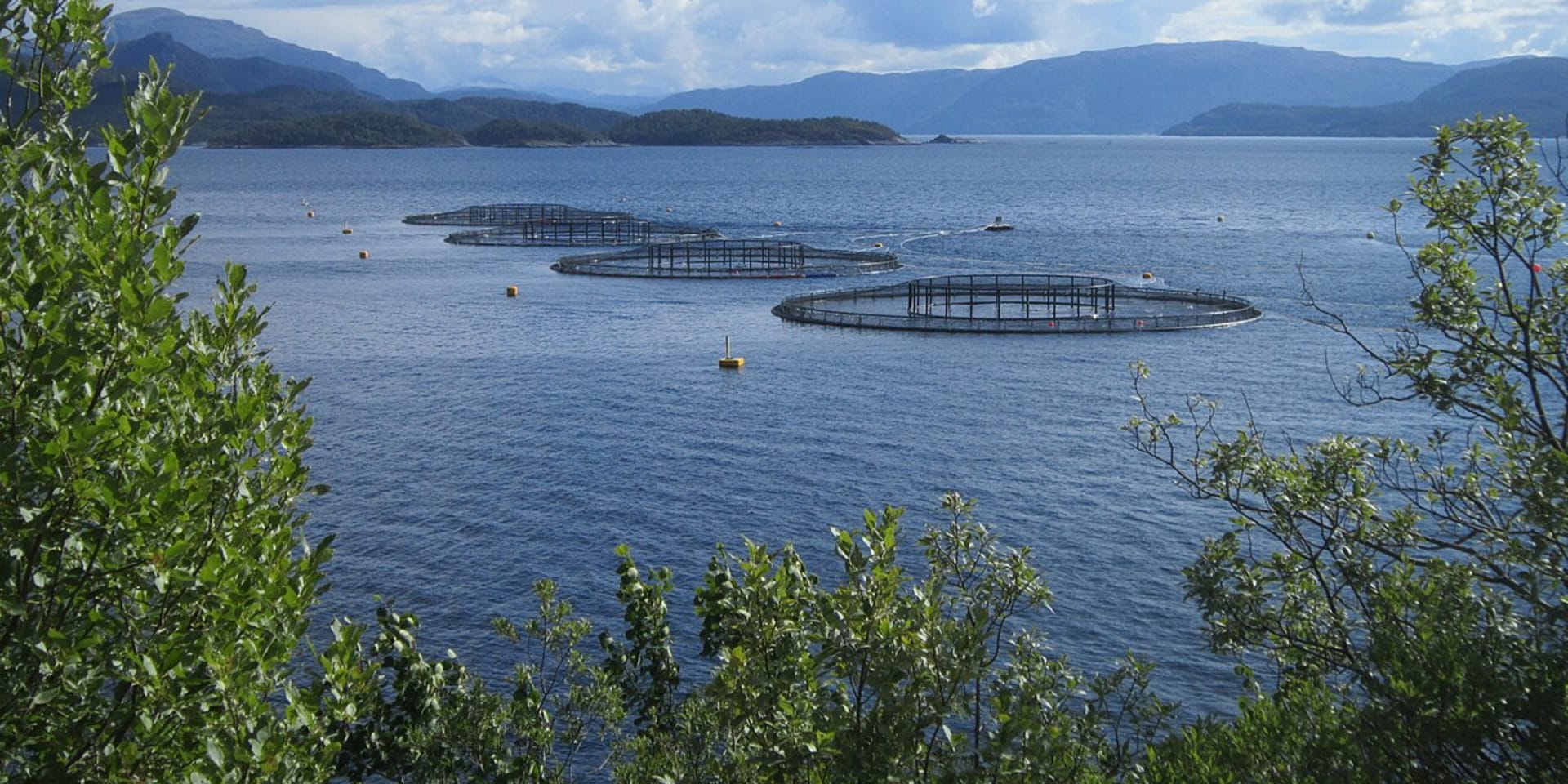 Aquacultuur in Noorwegen