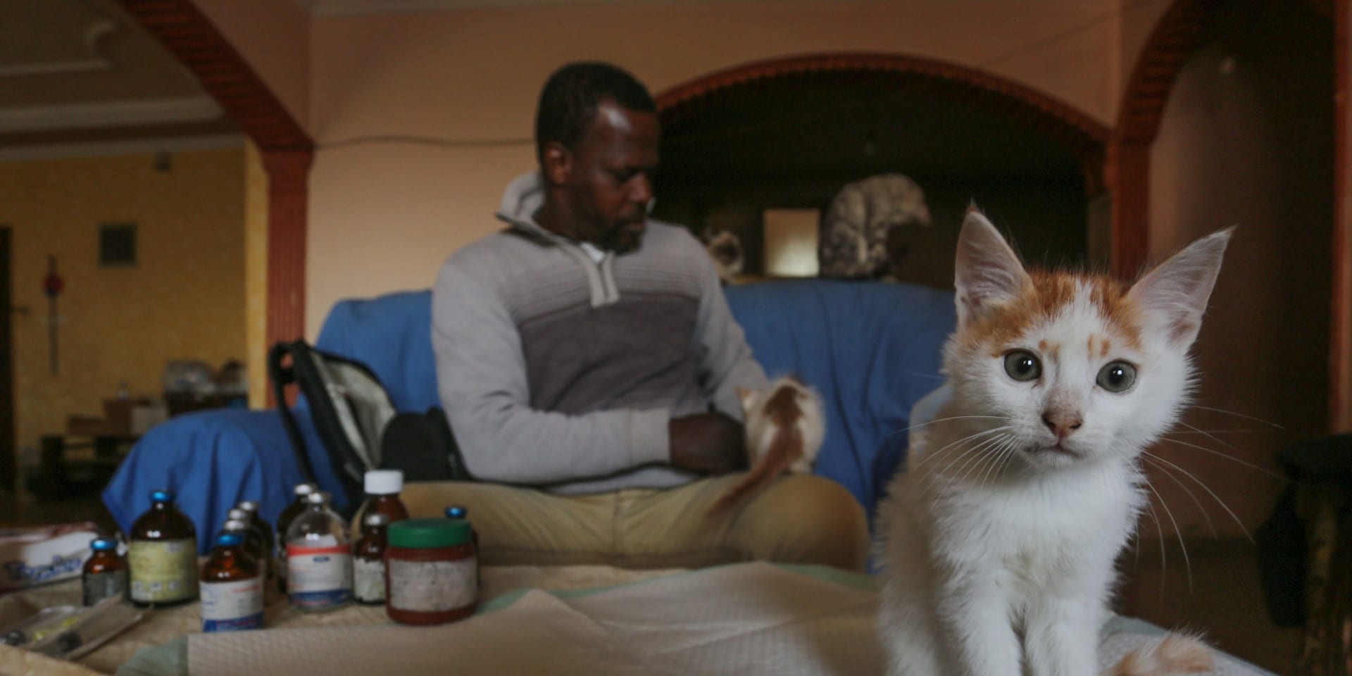 Saeed Al Arr verzorgt 35 katten in zijn huis.