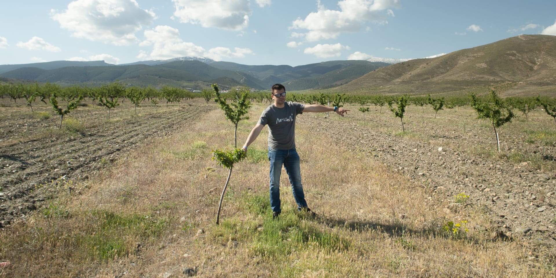 Miguel Ángel Gómez Tenorio wijst het verschil aan tussen een amandelboomgaard met en zonder omgeploegde grond.
