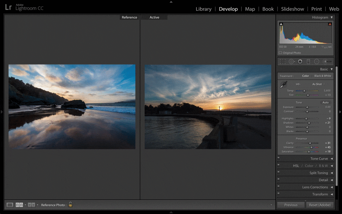 Formation sur lightroom et la PAO