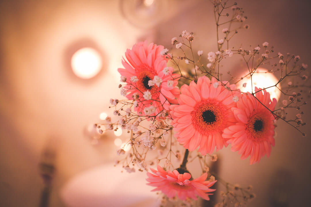décoration de la table champêtre Photographe de mariage sur Angouleme Christophe Boury chris-creation pour blog décoration de la table champêtre Photographe de mariage sur Angouleme Christophe Boury chris-creation pour blog