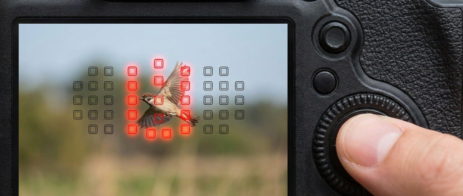 Savez-vous à quoi sert ce bouton ? les collimateurs AF