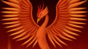 phoenix