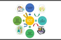 Internet of things (IoT) and Biotechnology (BT): A promising technology fusion for sustainable development