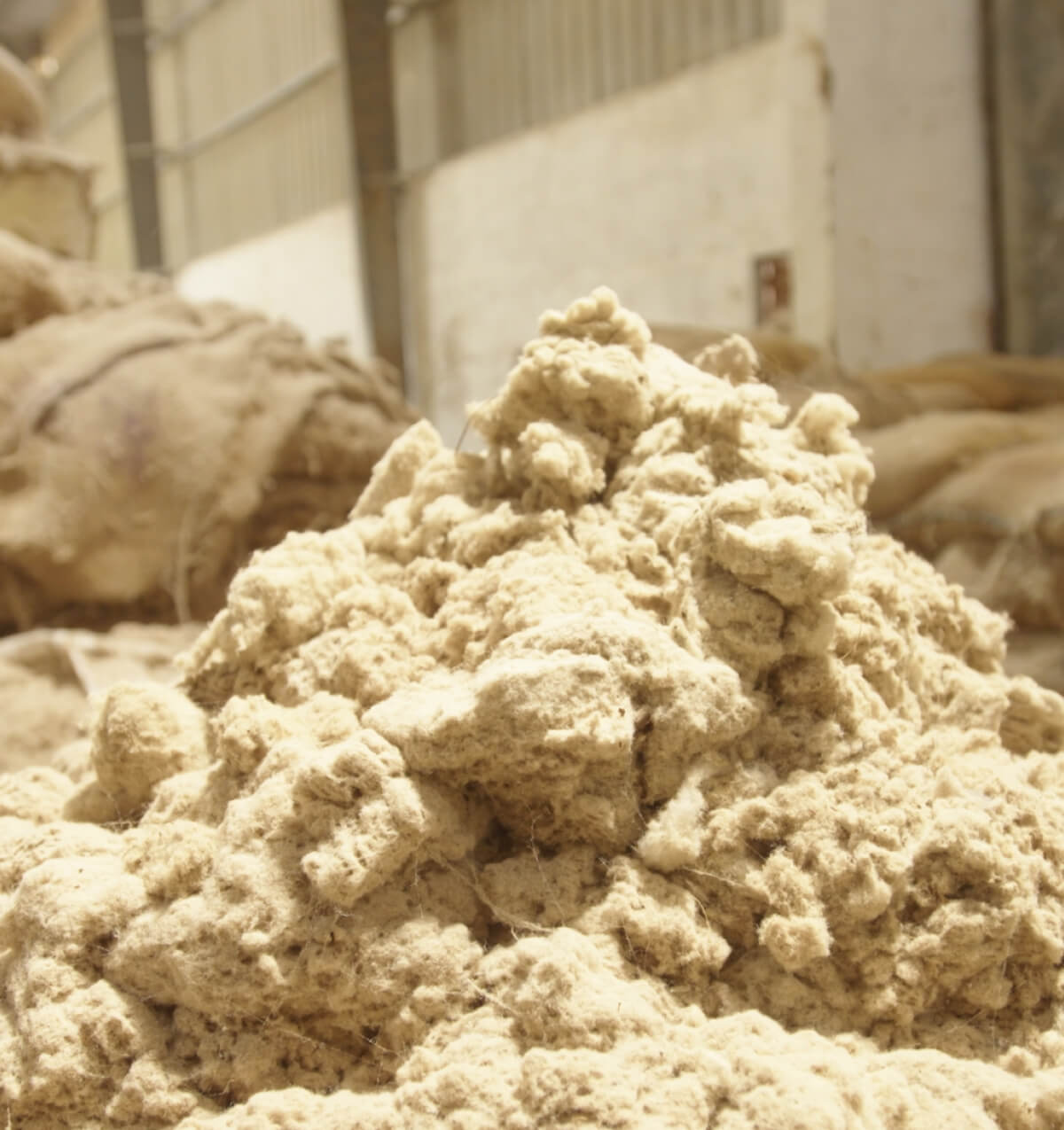 Balle di cotone biologico immagazzinate in un magazzino per la produzione tessile sostenibile di Stanley/Stella.