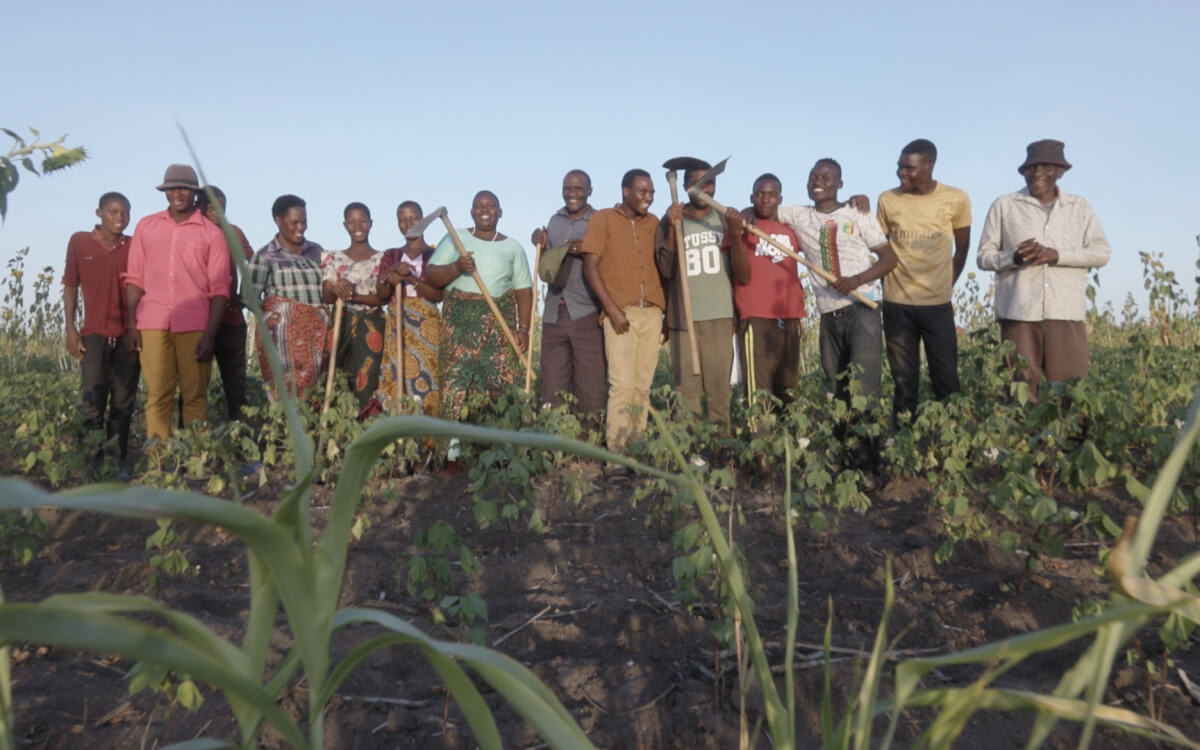 Squadra di lavoratori dei campi di cotone che sostiene un approvvigionamento responsabile ed etico per Stanley/Stella.
