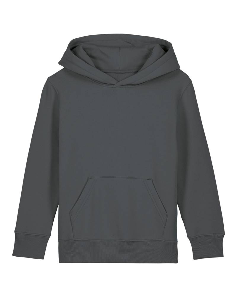 MINI CRUISER 2.0 - ANTHRACITE - SWEATSHIRTS HOODIE - ENFANTS