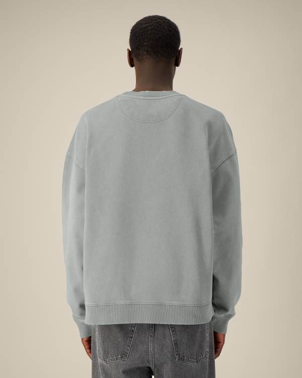 RADDER 2.0 VINTAGE - G. DYED MISTY GREY - SWEATSHIRTS CREWNECK - UNISEX