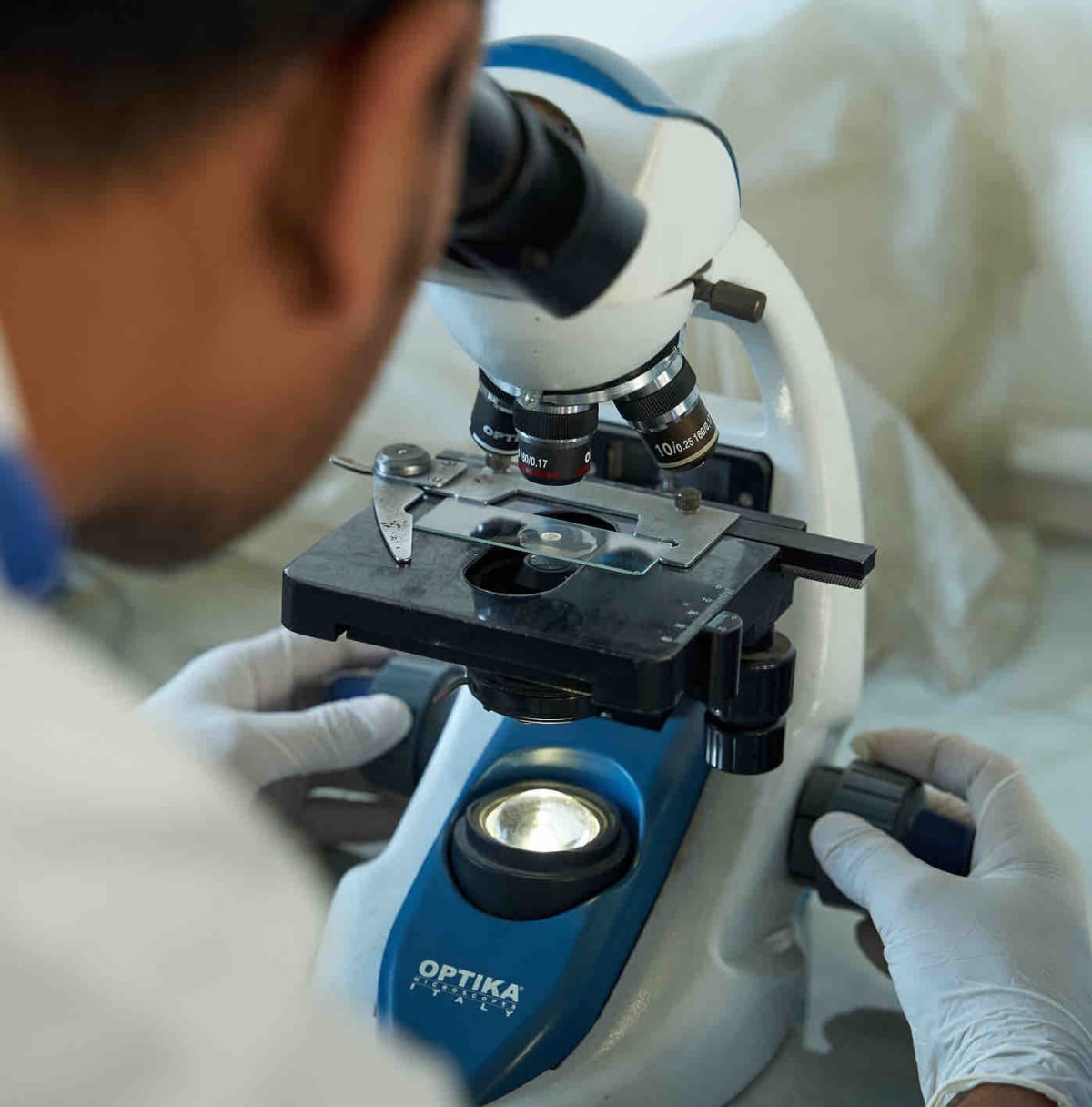 A gloved person in a white coat leans over a blue and white Optika brand binocular microscope, adjusting the focus knob with their right hand while a glass slide sits on the stage.