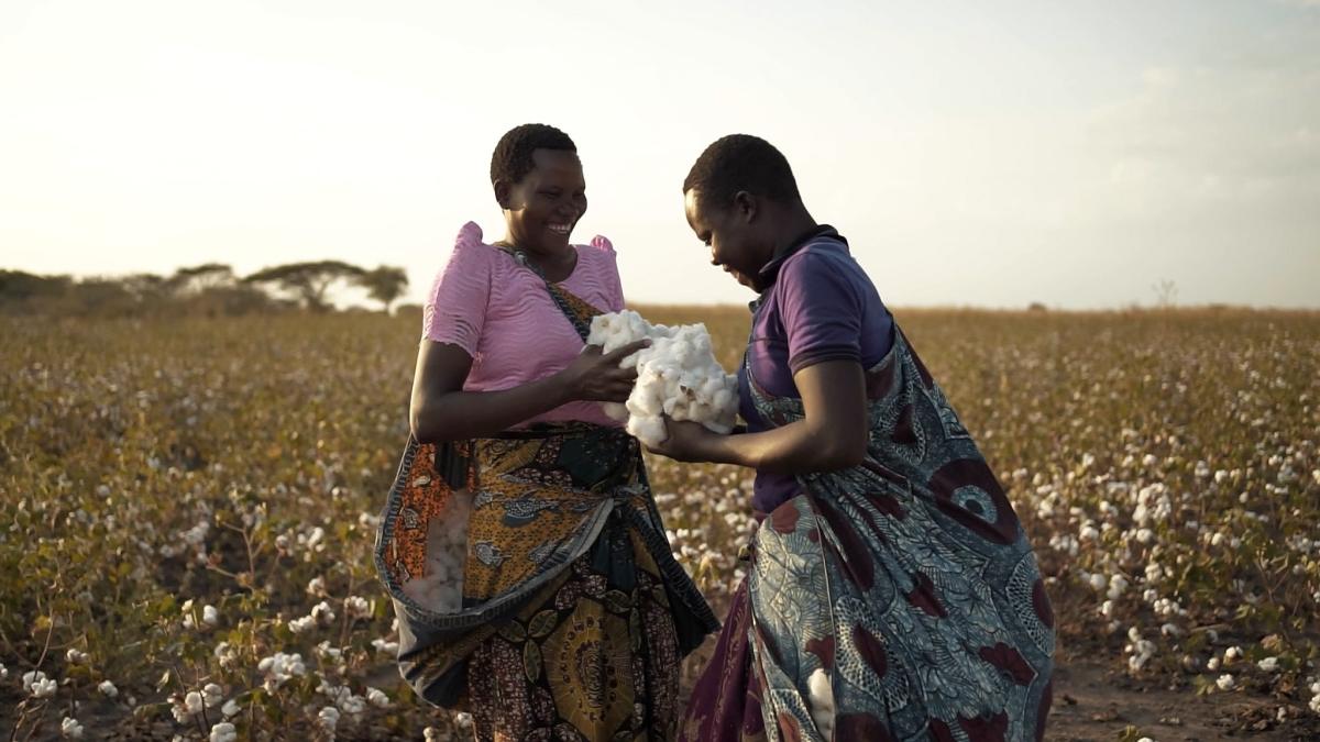 Two women standing in a cotton field, holding harvested cotton