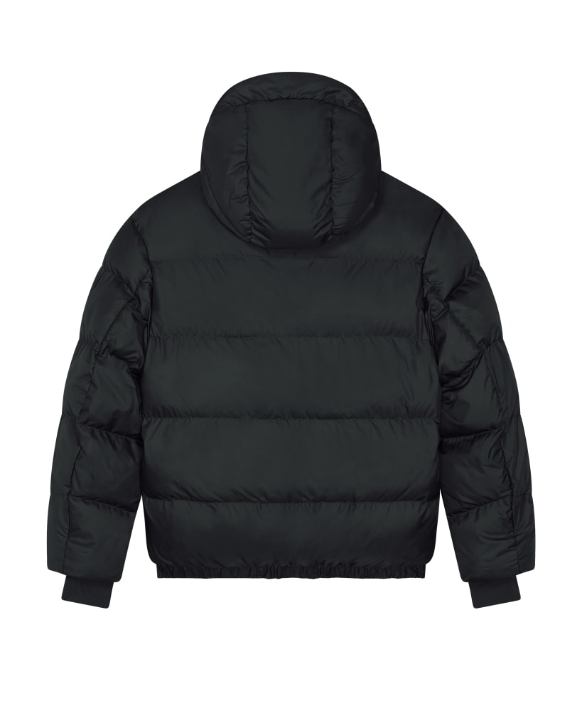Puffer PBM0_STJU840_C002.jpg