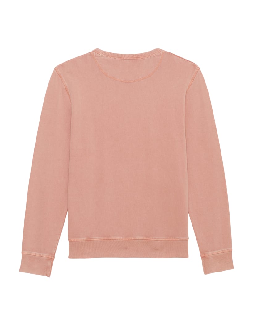 G. Dyed Aged Rose Clay PBM0_STSU720_C522.jpg