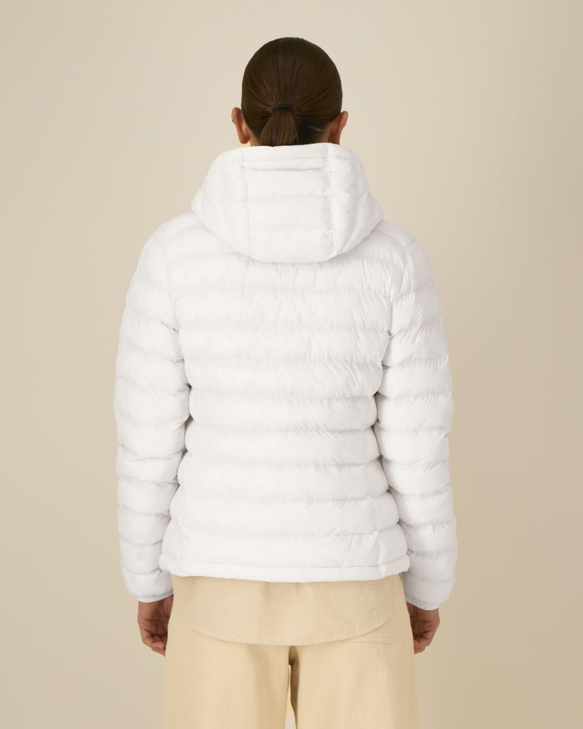 6 Stella Voyager 2.0