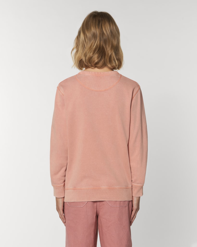 G. Dyed Aged Rose Clay SBM5_STSU720_C522.jpg