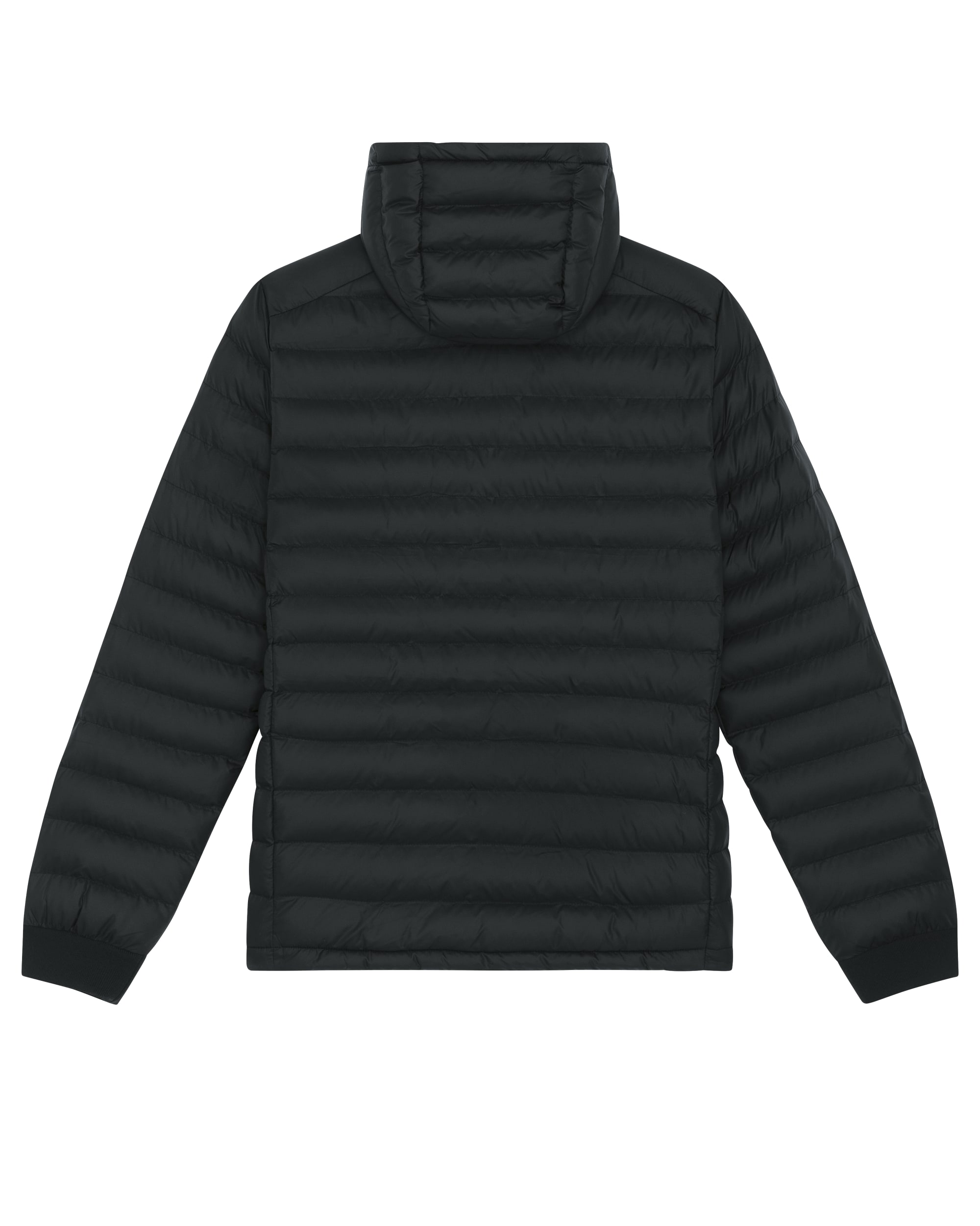 Black PBM0_STJM837_C002.jpg