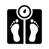 משקל כולל