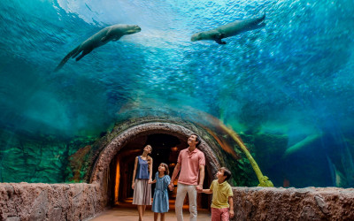 Singapore Zoo and River Wonders Tour (Sharing)